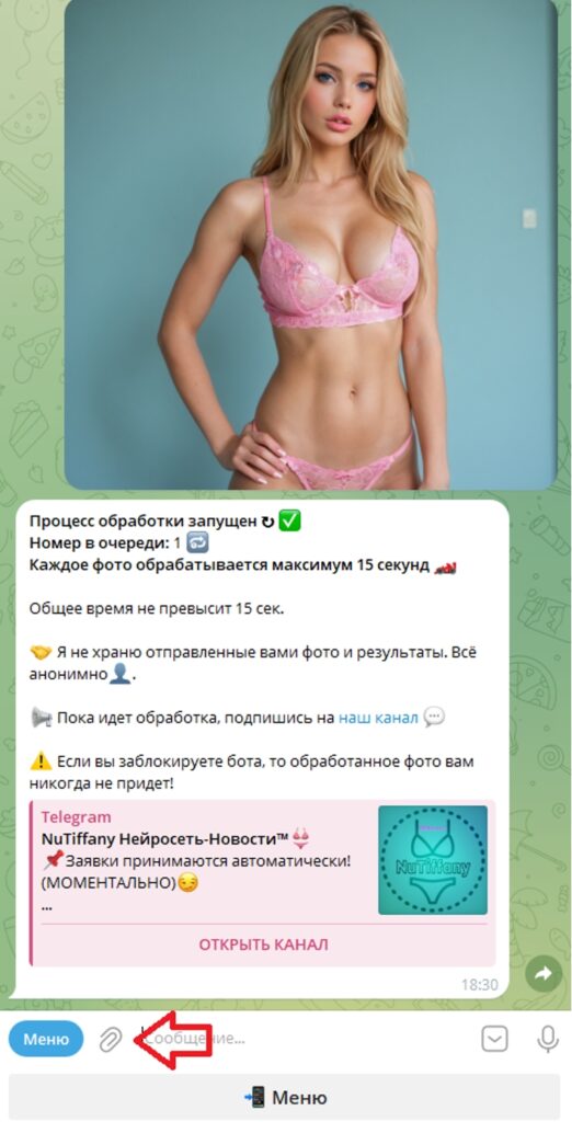 бот раздеватор